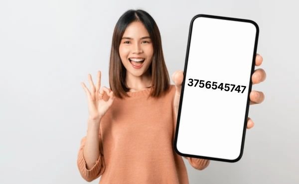 3756545747: Complete Guide with Meaning and Uses